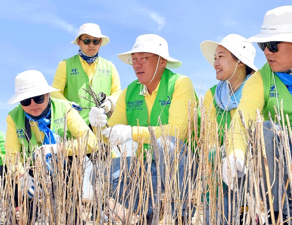 1.现代汽车集团首席副会长郑义宣与志愿者一起参与治沙活动.jpg