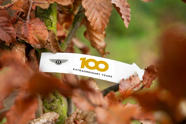 宾利汽车于百年华诞之年栽植百棵树木 (7).jpg