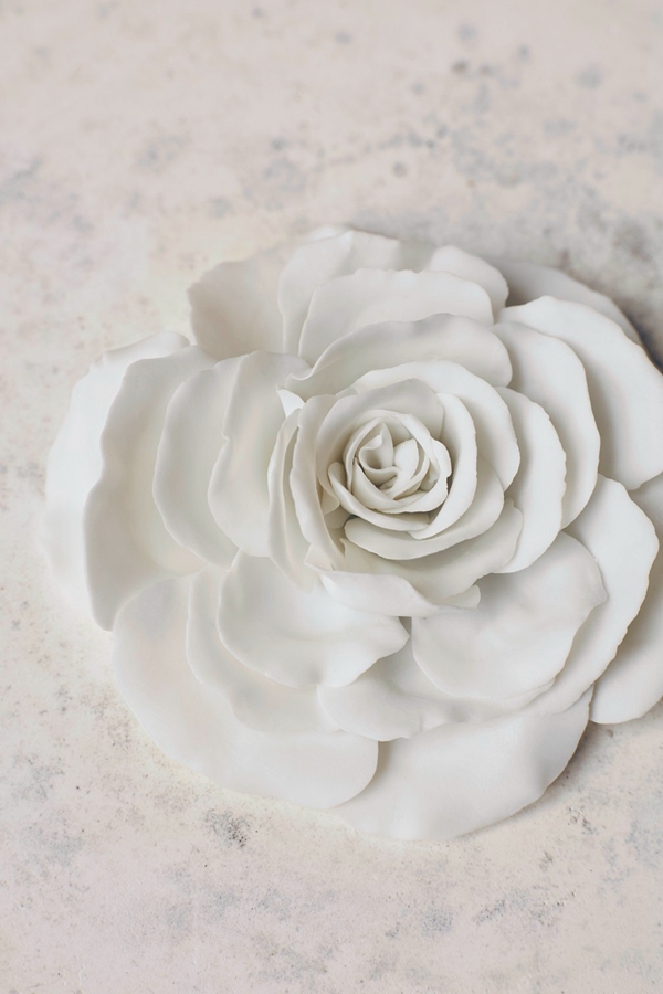 【新闻图片】宁芬堡皇家瓷器工坊的艺术大师们用最精美的黑白两色陶瓷对幻影玫瑰进行手工艺术创造 (4).jpg