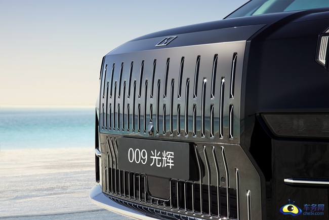 极氪009光辉格栅局部图.jpg